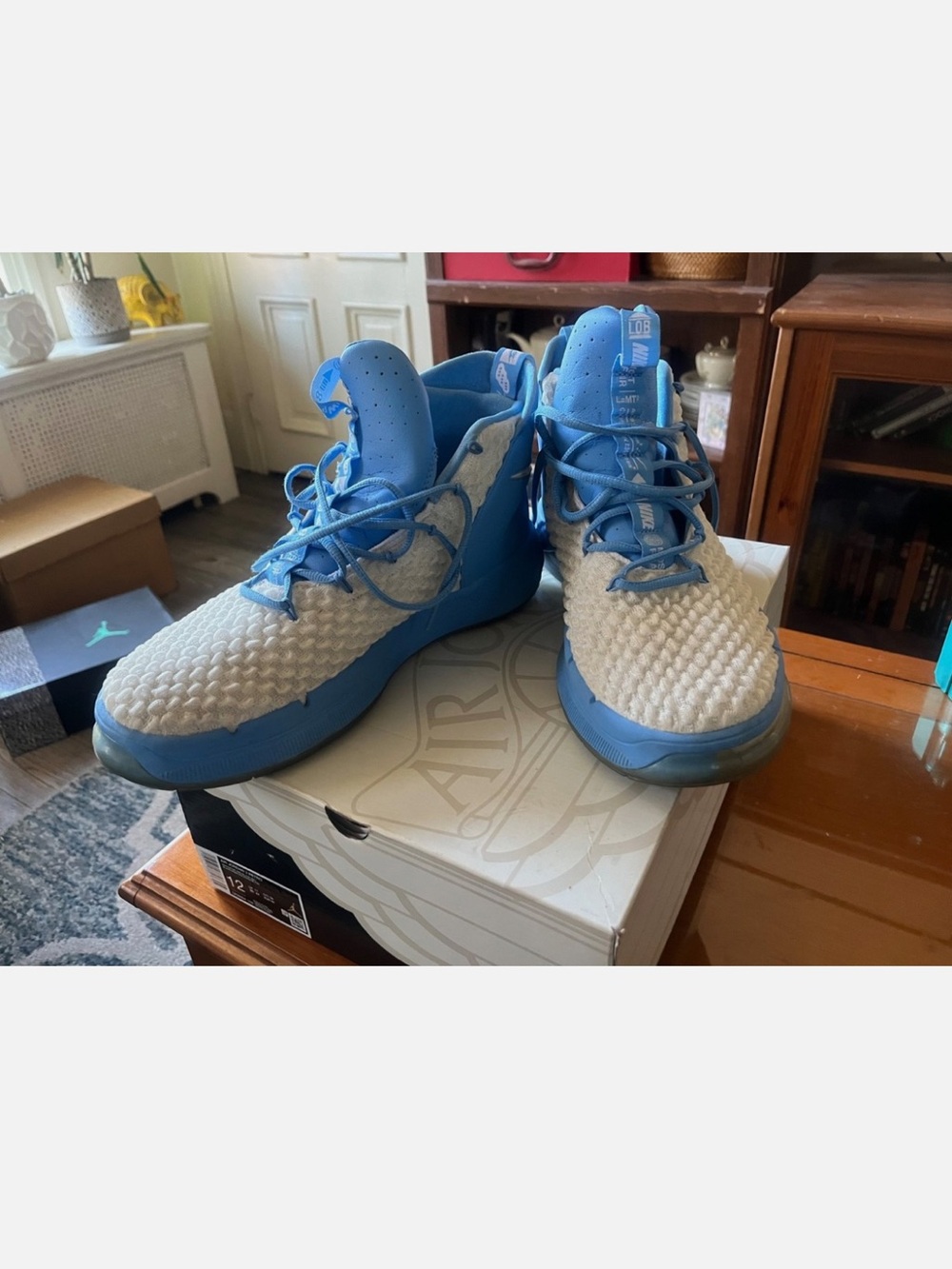 Nike Carolina blue and white Alpha Dunk TB promo size 12